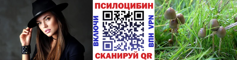 mega онион  купить закладку  Лянтор  Псилоцибиновые грибы Psilocybe 